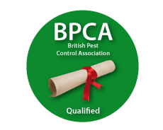 BPCA certified pest control